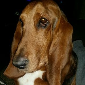 Meet your Posher, Raymond